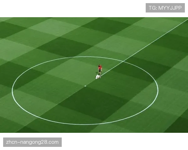 英超“社区行动”项目资助全英超过200块草皮球场翻新