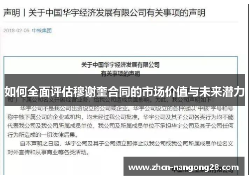 如何全面评估穆谢奎合同的市场价值与未来潜力