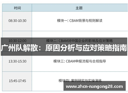 广州队解散：原因分析与应对策略指南