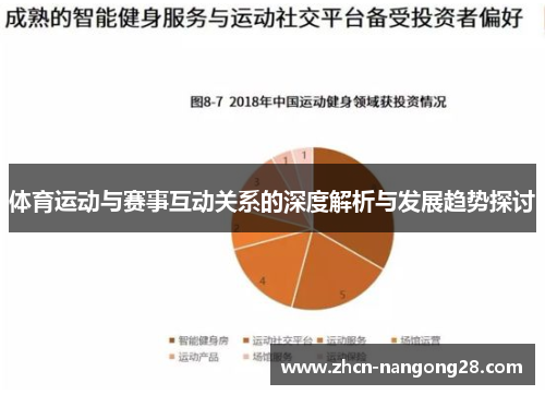 体育运动与赛事互动关系的深度解析与发展趋势探讨