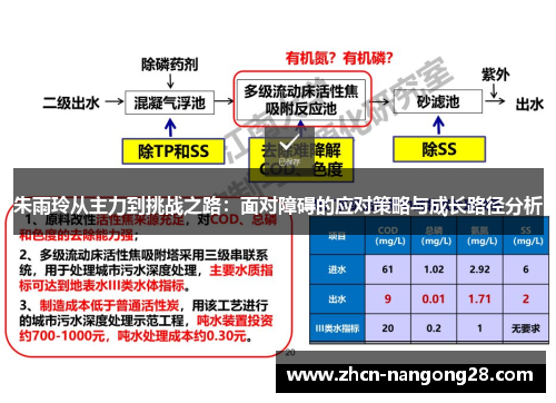 朱雨玲从主力到挑战之路：面对障碍的应对策略与成长路径分析