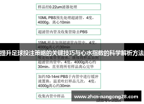 提升足球投注策略的关键技巧与心水指数的科学解析方法