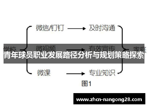 青年球员职业发展路径分析与规划策略探索