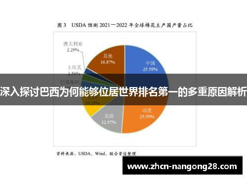 深入探讨巴西为何能够位居世界排名第一的多重原因解析